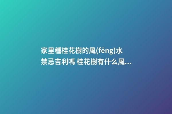 家里種桂花樹的風(fēng)水禁忌吉利嗎 桂花樹有什么風(fēng)水講究